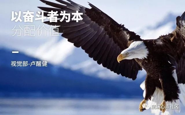 老鹰核心公开指责管理层  